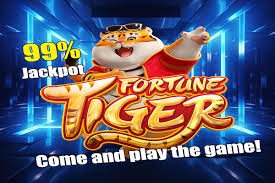 pg9 Live Casino ကစားနည်း မြန်မာ ဂိမ်းသမား